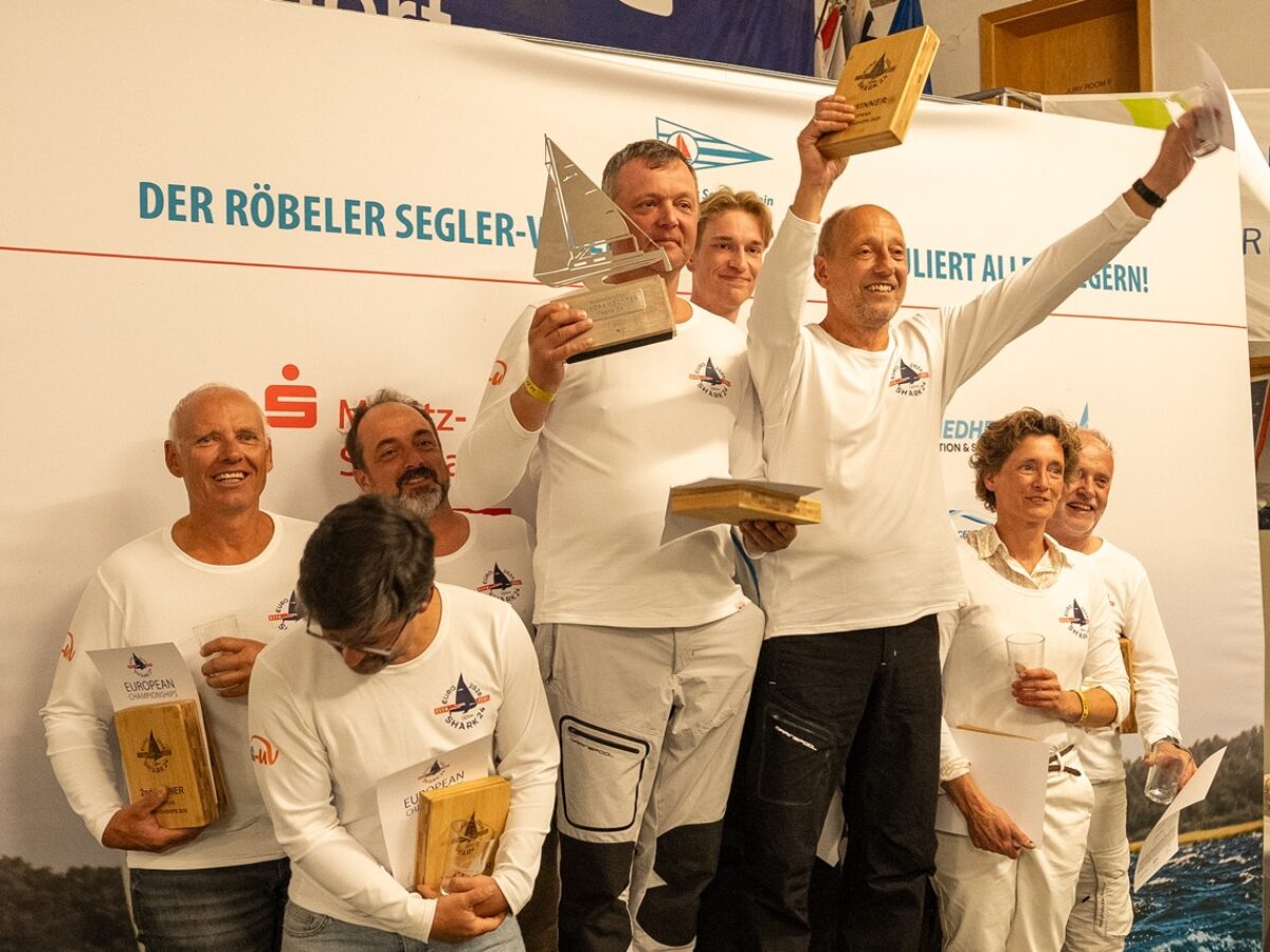 Shark 2026-534 Groß